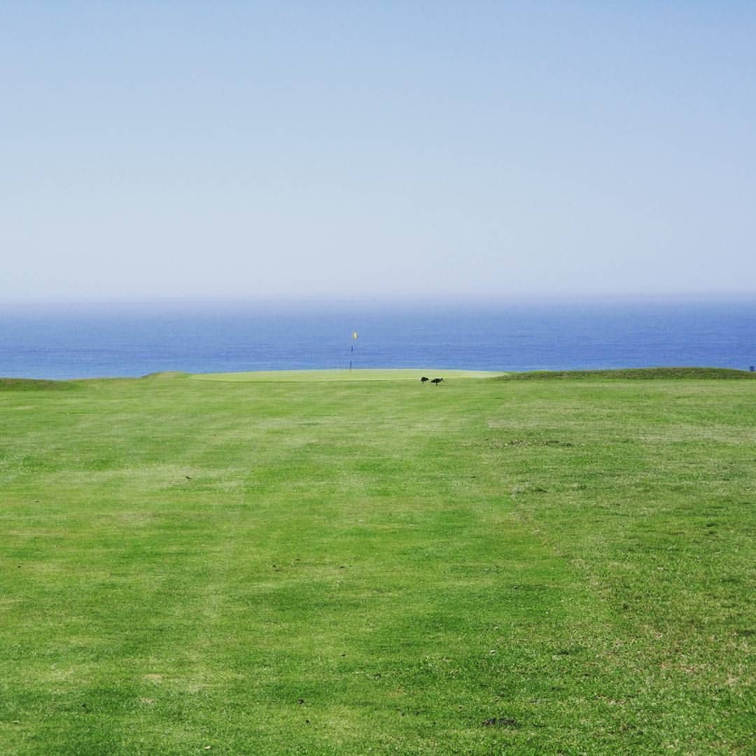 Royal Port Alfred Golf Club — photo by Stefan Roodt